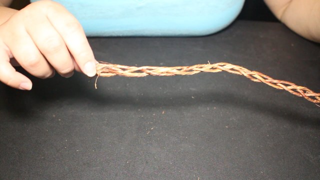 MVI_2490.00_02_43_15.Still007